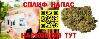 стаф Славянск-на-Кубани