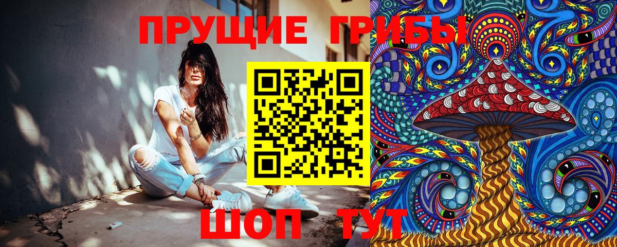 Псилоцибиновые грибы Cubensis  Галлюциногенные грибы Psilocybe  Альметьевск  Вход с VPN 